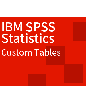 SPSS Custom Tables(アカデミック・保守なし)