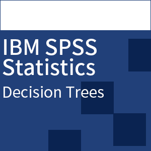 SPSS Decision Trees(一般・保守なし)