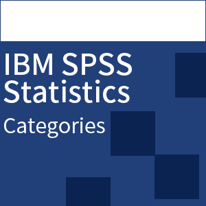 SPSS Categories(一般・保守なし)