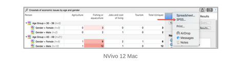 IBM SPSSƂ̃f[^݊ NVivo 12 Mac